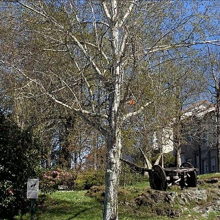 Apartmán Campo De Estrellas Santiago de Compostela Exteriér fotografie