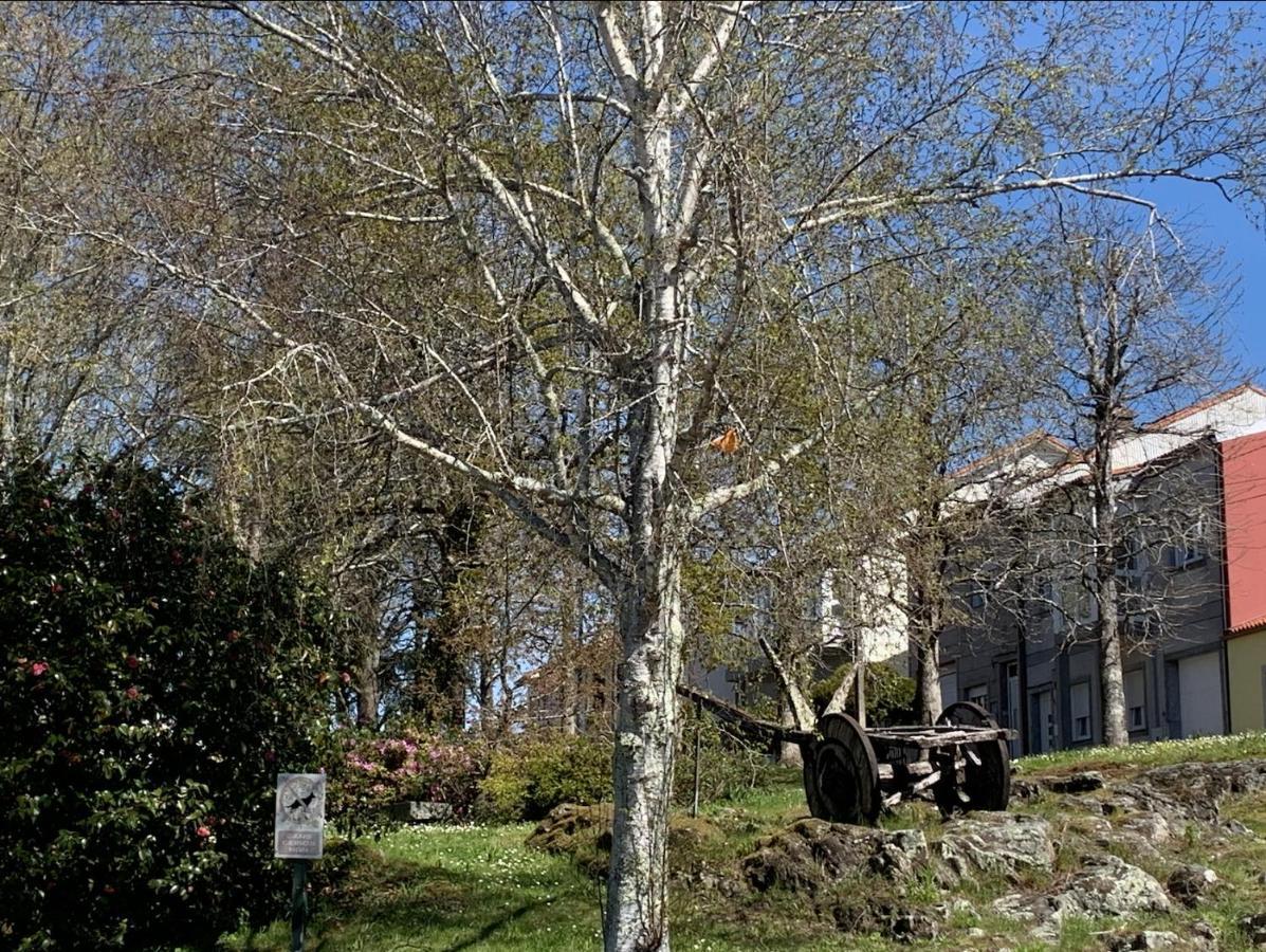 Apartmán Campo De Estrellas Santiago de Compostela Exteriér fotografie